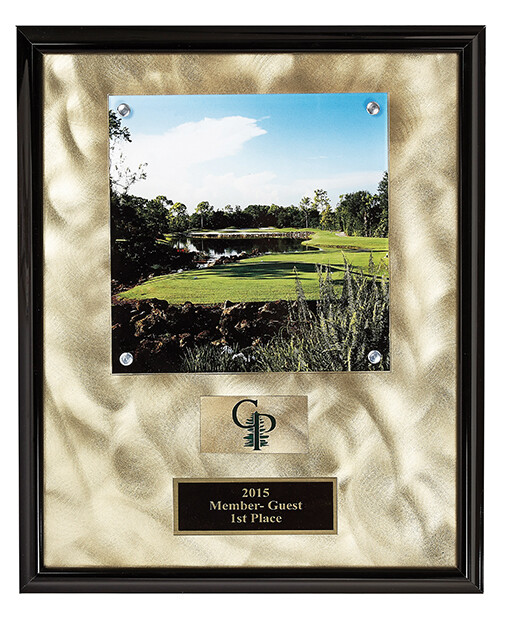 Framed Acrylic Gold/Silver/Bronze Custom