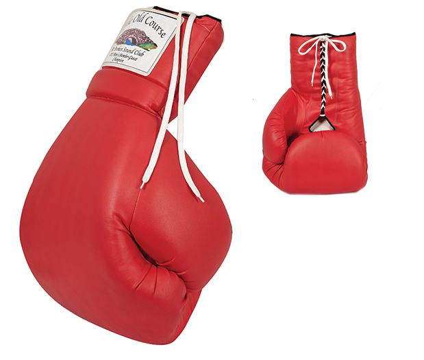 Oversized Boxing Glove
