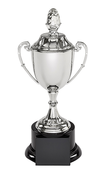 Nickel Plated Cup with Lid - 5 sizes