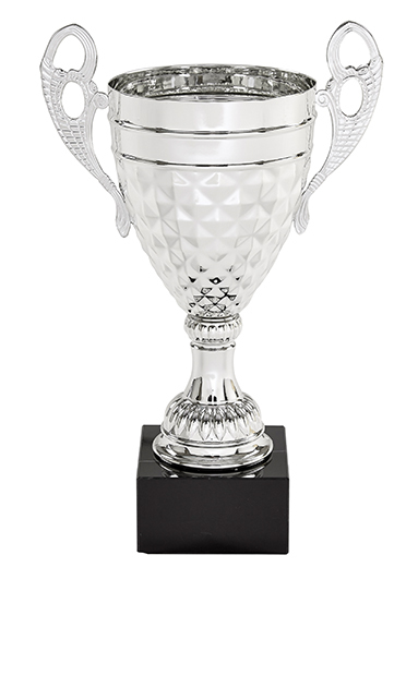 Silvertone Metal Cup - 5 Sizes