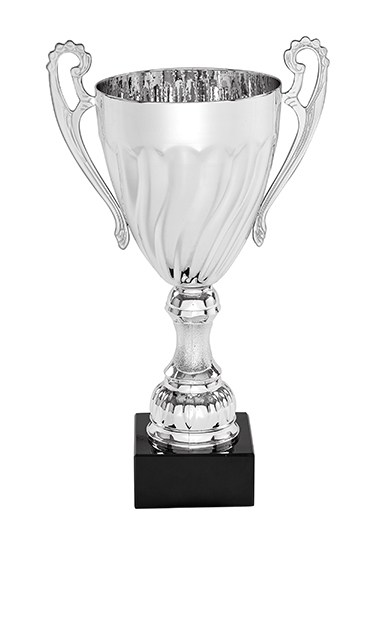 Silvertone Metal Cup - 6 Sizes