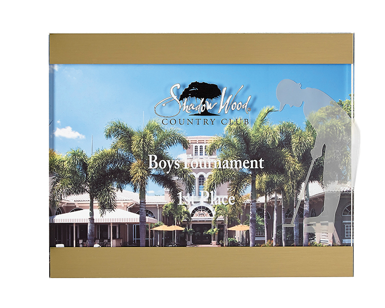 Gold or Silver Acrylic Plaque with Frosted Acrylic Golfer - 3 Sizes