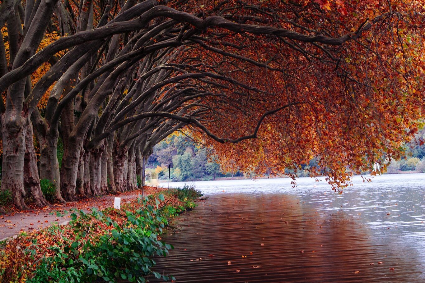 Indian summer am See