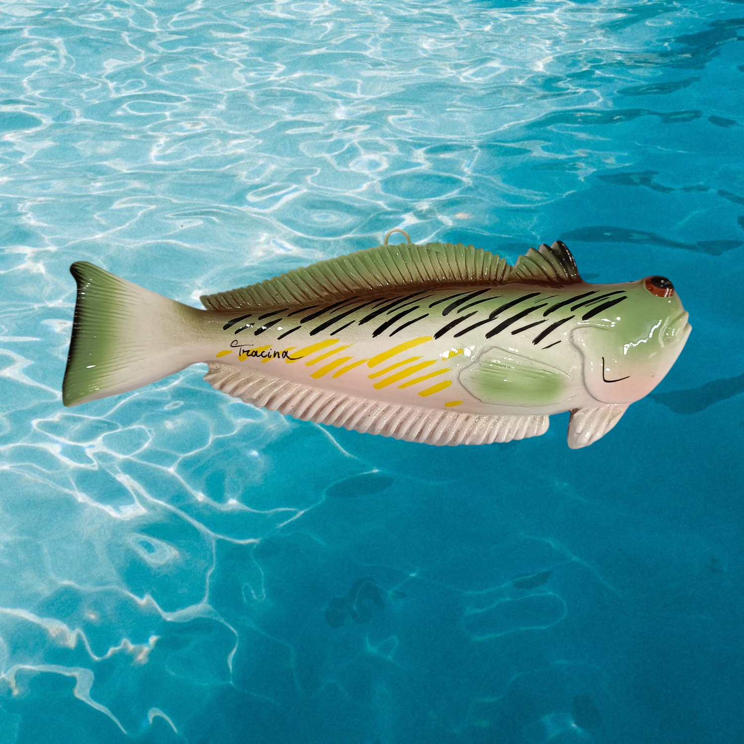 ​Pesce tracina medio L. cm 20 x A. cm 6,5