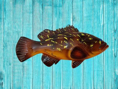 Cernia bruna L. cm 27 x A. cm 12