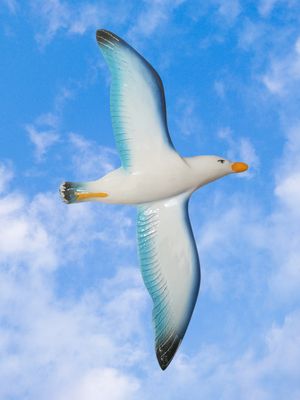 Gabbiano misura: L. cm 16 x A. cm 29