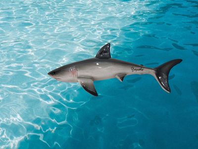 Squalo L. cm 28 x A. cm 7