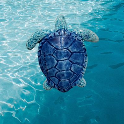 Tartaruga marina in ceramica