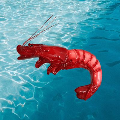 Gamberone L. cm 21 x A. cm 7