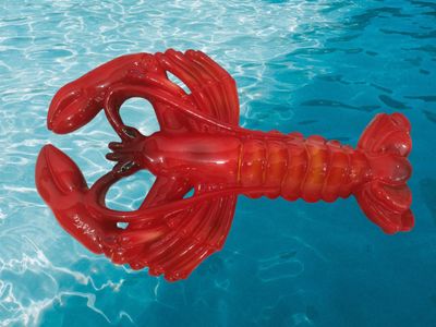 Astice L. cm 31 x A. cm 20