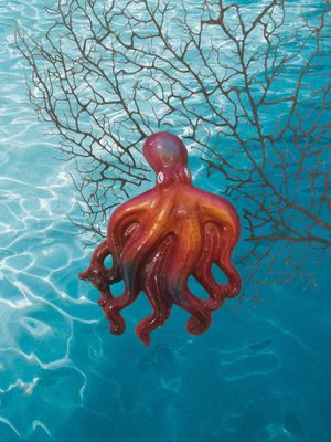 Polpo piccolo L. cm 12 x A. cm 15