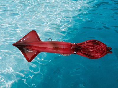 Totano L. cm 29 x A. cm 9