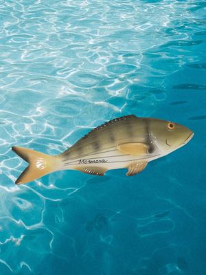 Pesce mormora medio L. cm 19 x A. cm 6