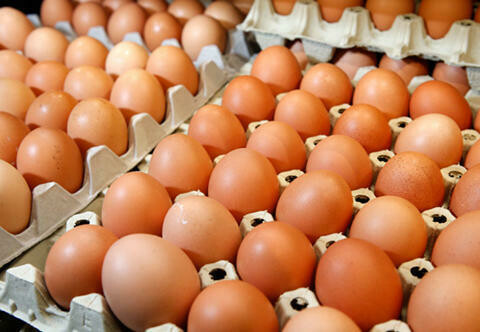Phiro Fresh Farms: 1 Dozen Fresh Egg