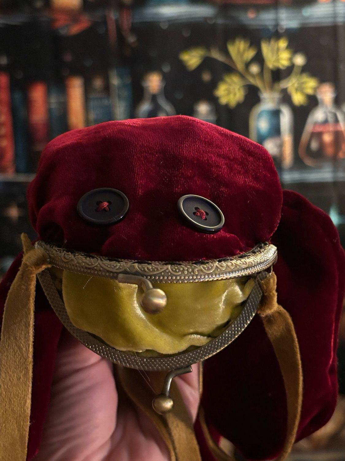 Red Frog Velvet Coin Purse Made To Order