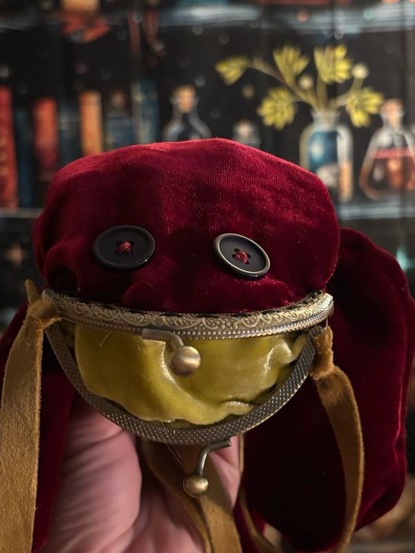 Red Frog Velvet Coin Purse Made To Order