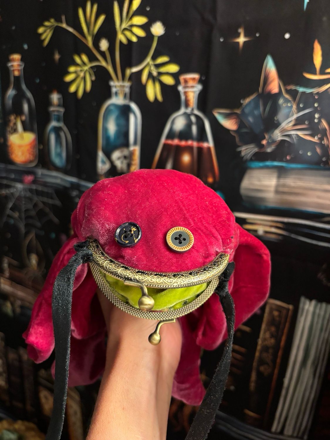 Pink, Blue And Green Frog