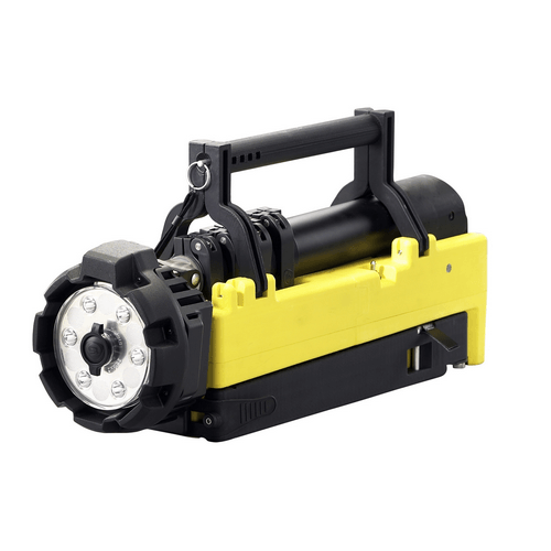 Portable Scene Light with 120V AC/12V DC