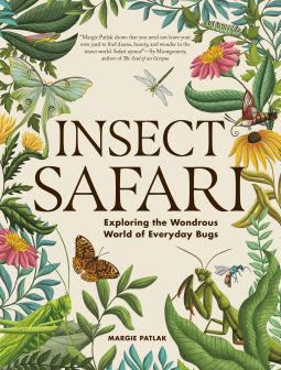 Insect Safari Insect Safari