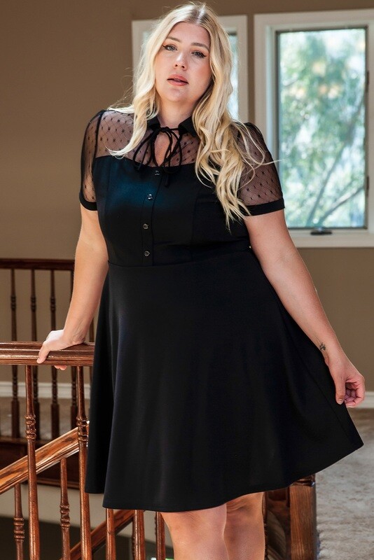 Mesh Collared Dress