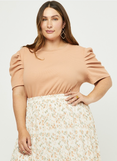 Shoulder Puff Sleeve Top