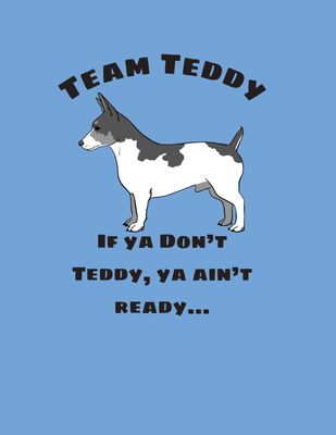 Team Teddy