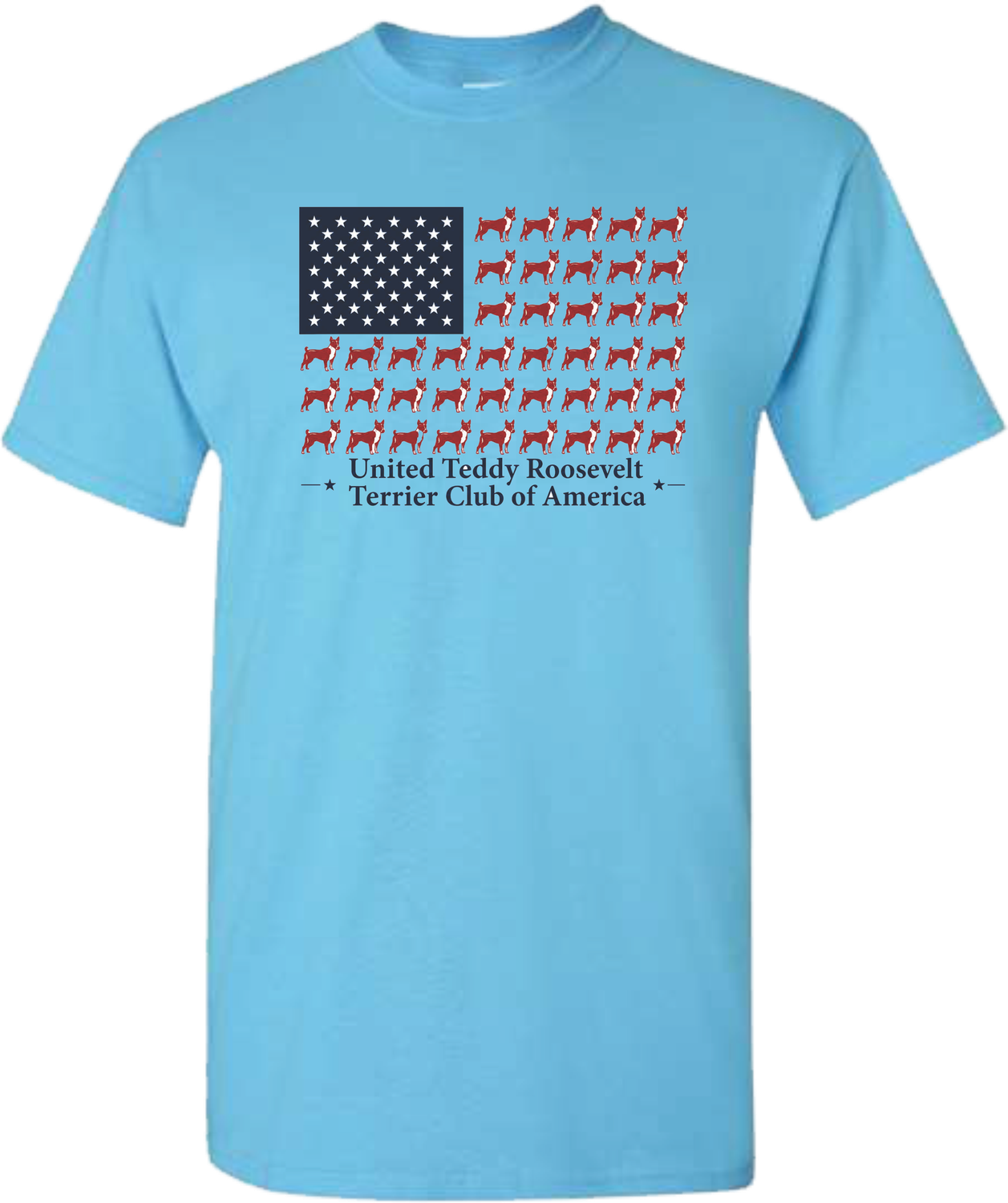 Teddy Flag TShirt