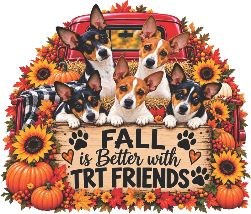 TR 26 Fall Friends