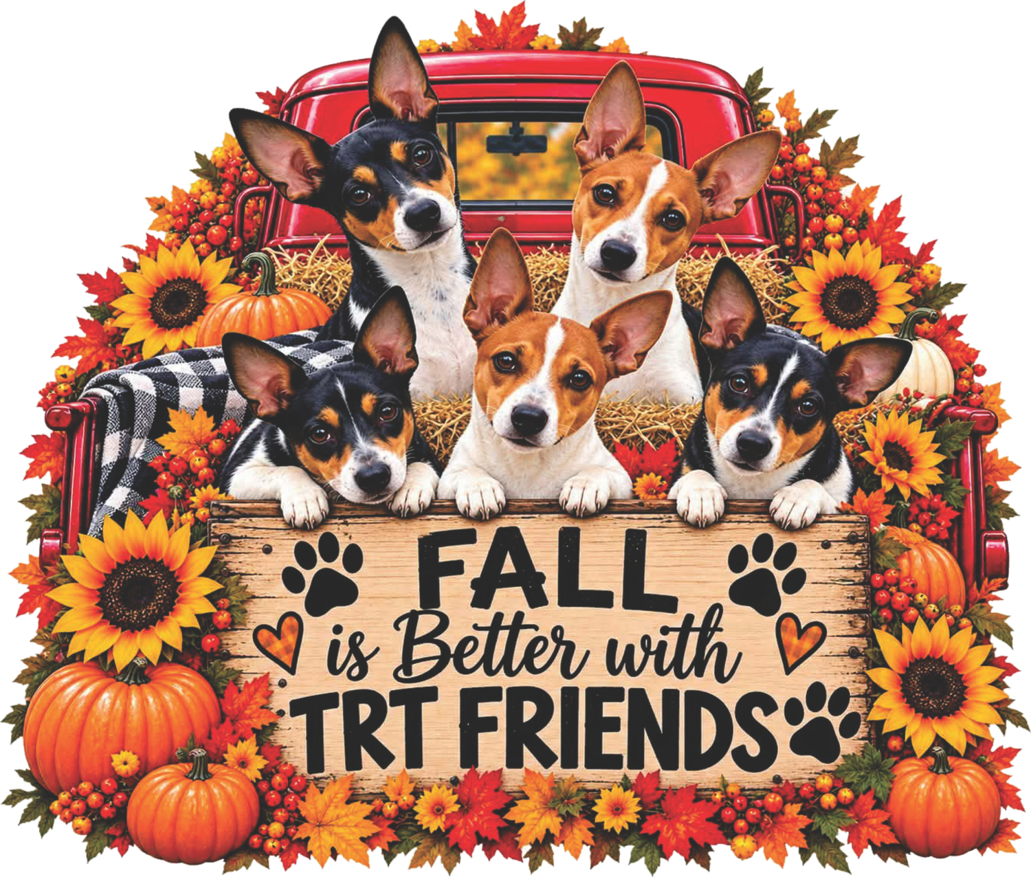 TR 26 Fall Friends Crew Neck