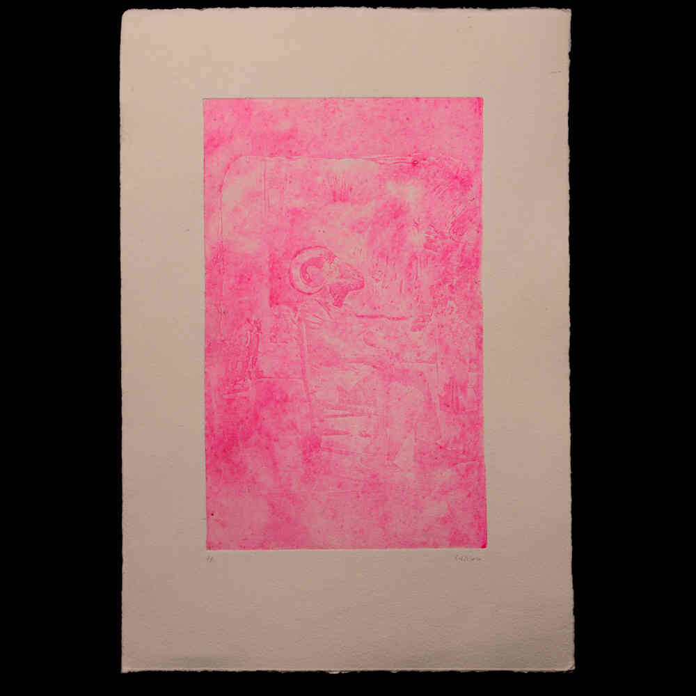 Pink Bode