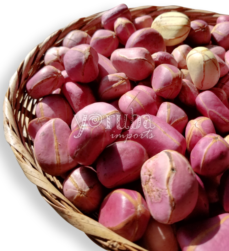 Obi Abata - Fresh Kola Nuts