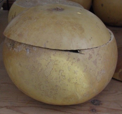 Igba - Calabash - Cut and Cored (Plain Color)