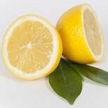 cool citrus basil