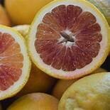 grapefruit  n mangosteen