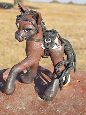 Dressage pony