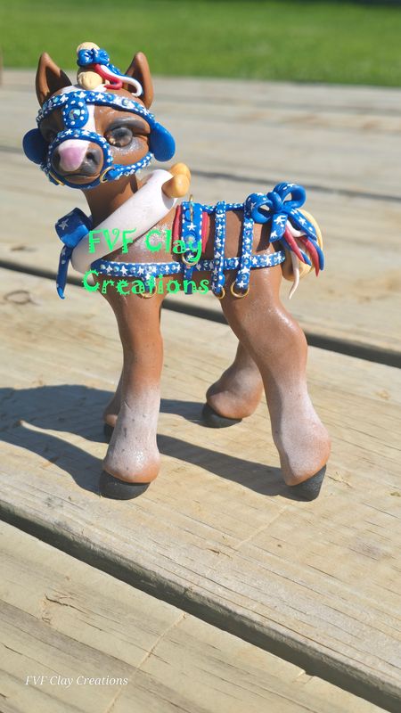 Harness pony