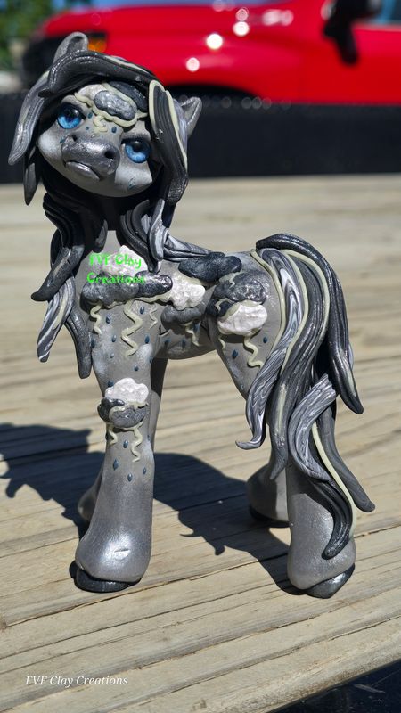 Storm pony