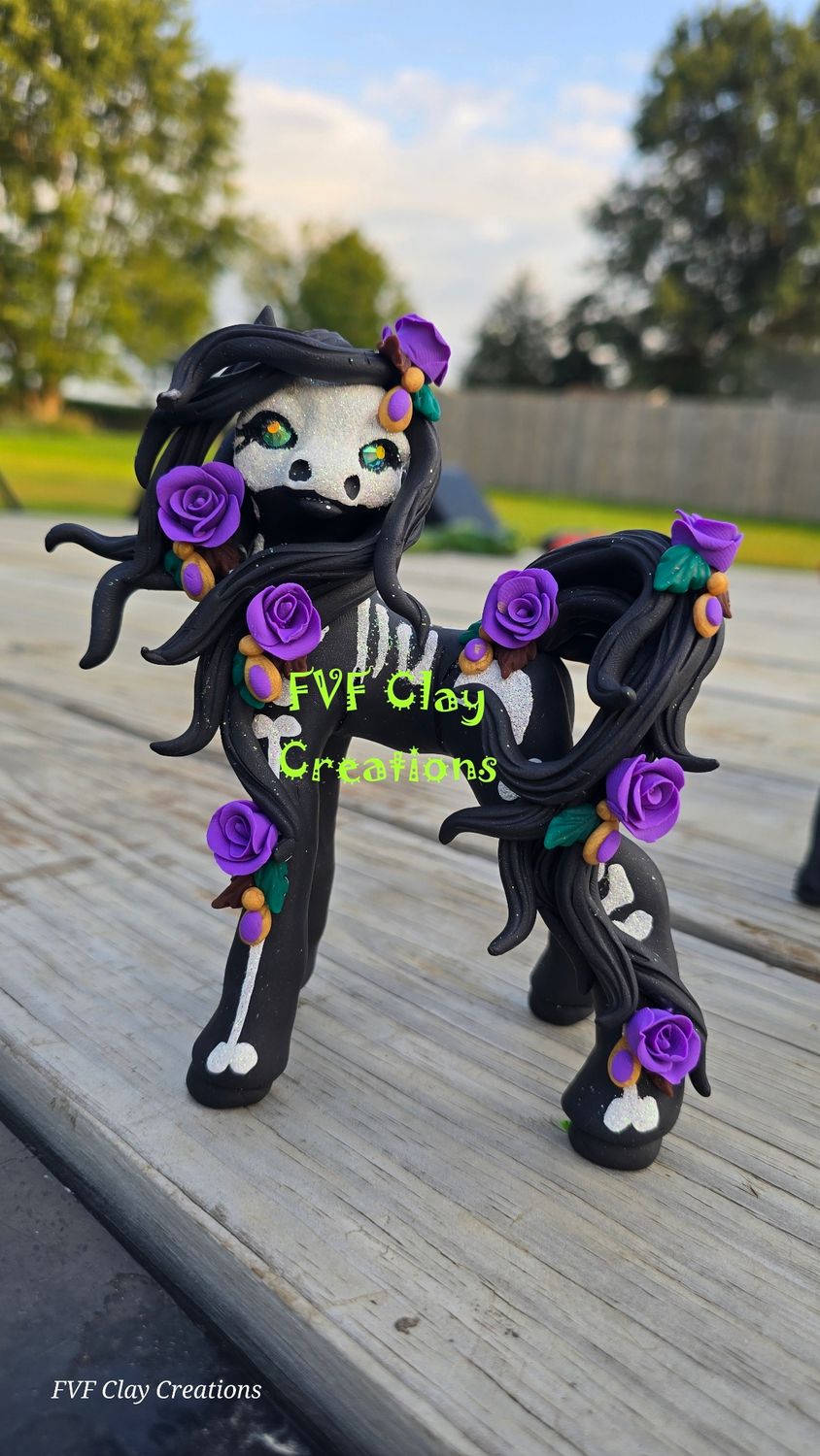 Purple  skull pony