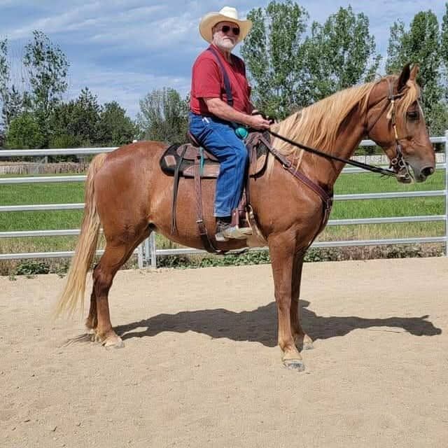 Custom for dani kerr