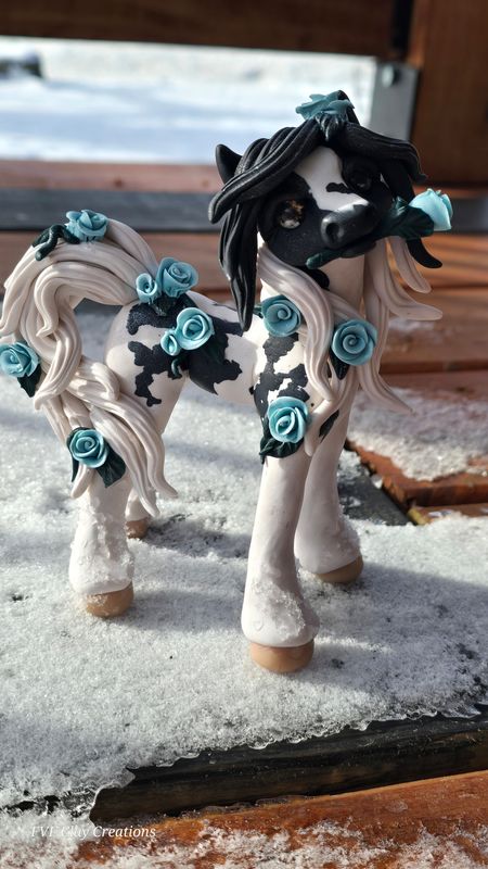 Black and white rose pony