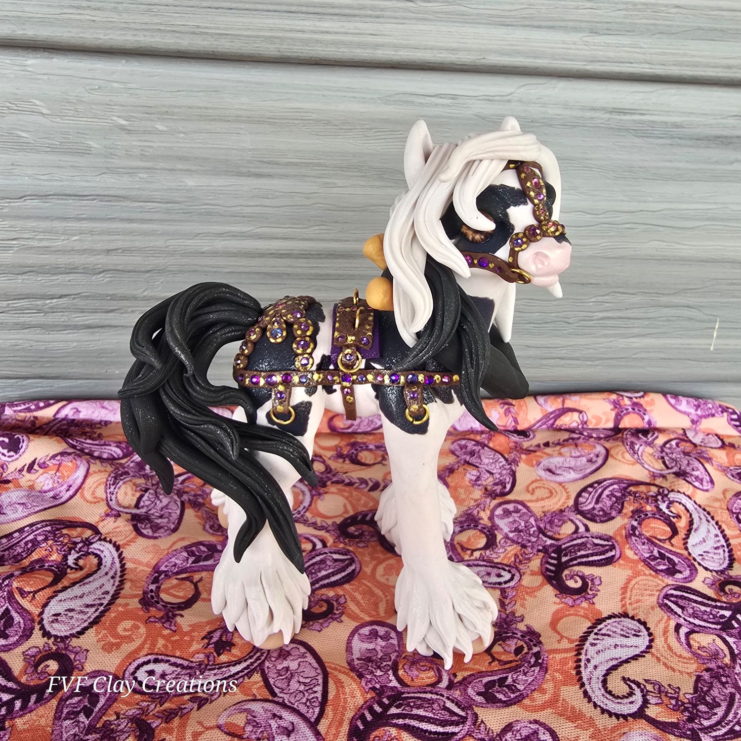 Black and white harness pony