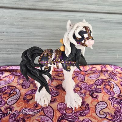 Black and white harness pony