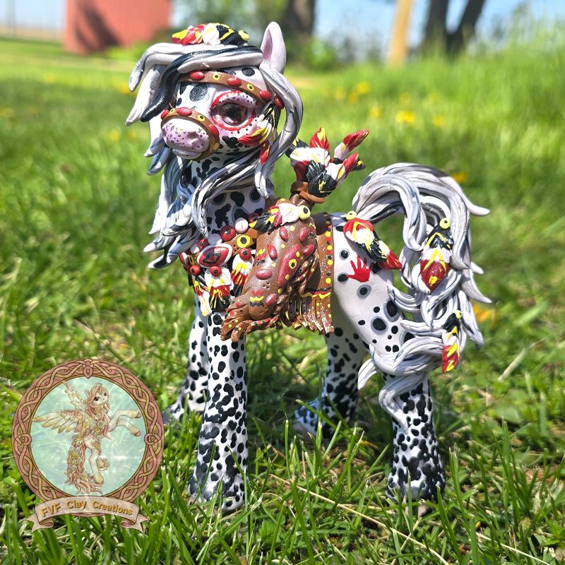 Appaloosa native pony