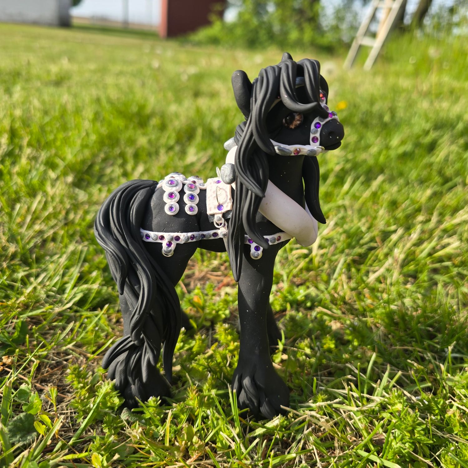 Harness friesian