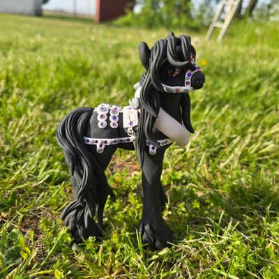 Harness friesian