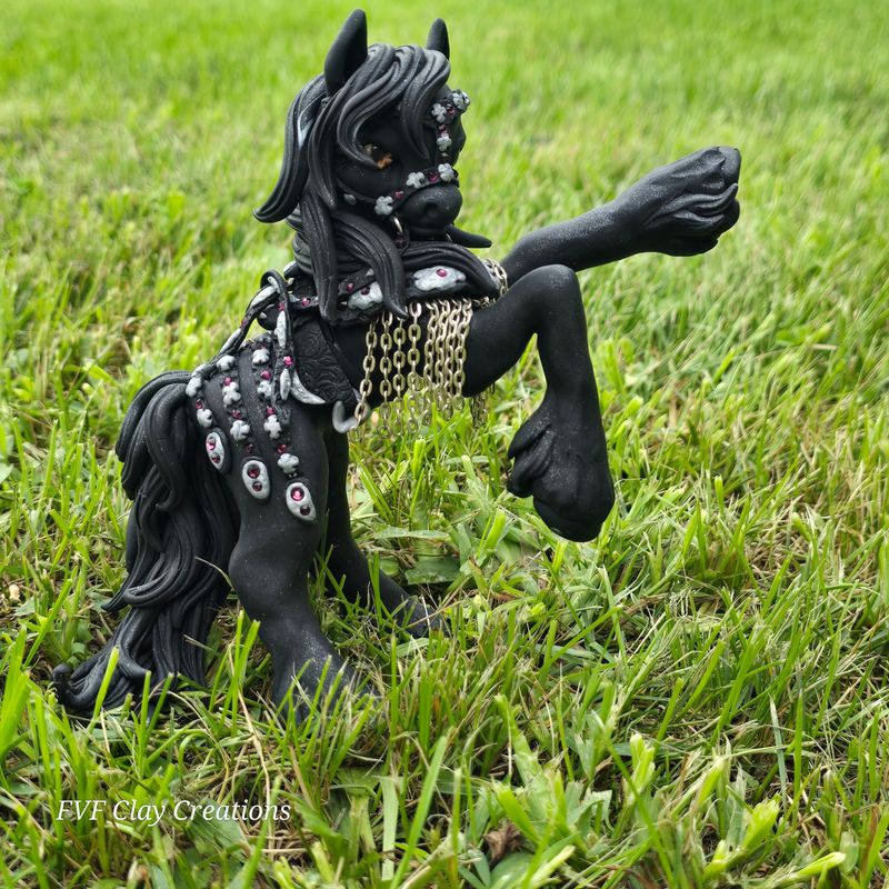Rearing friesian in tack