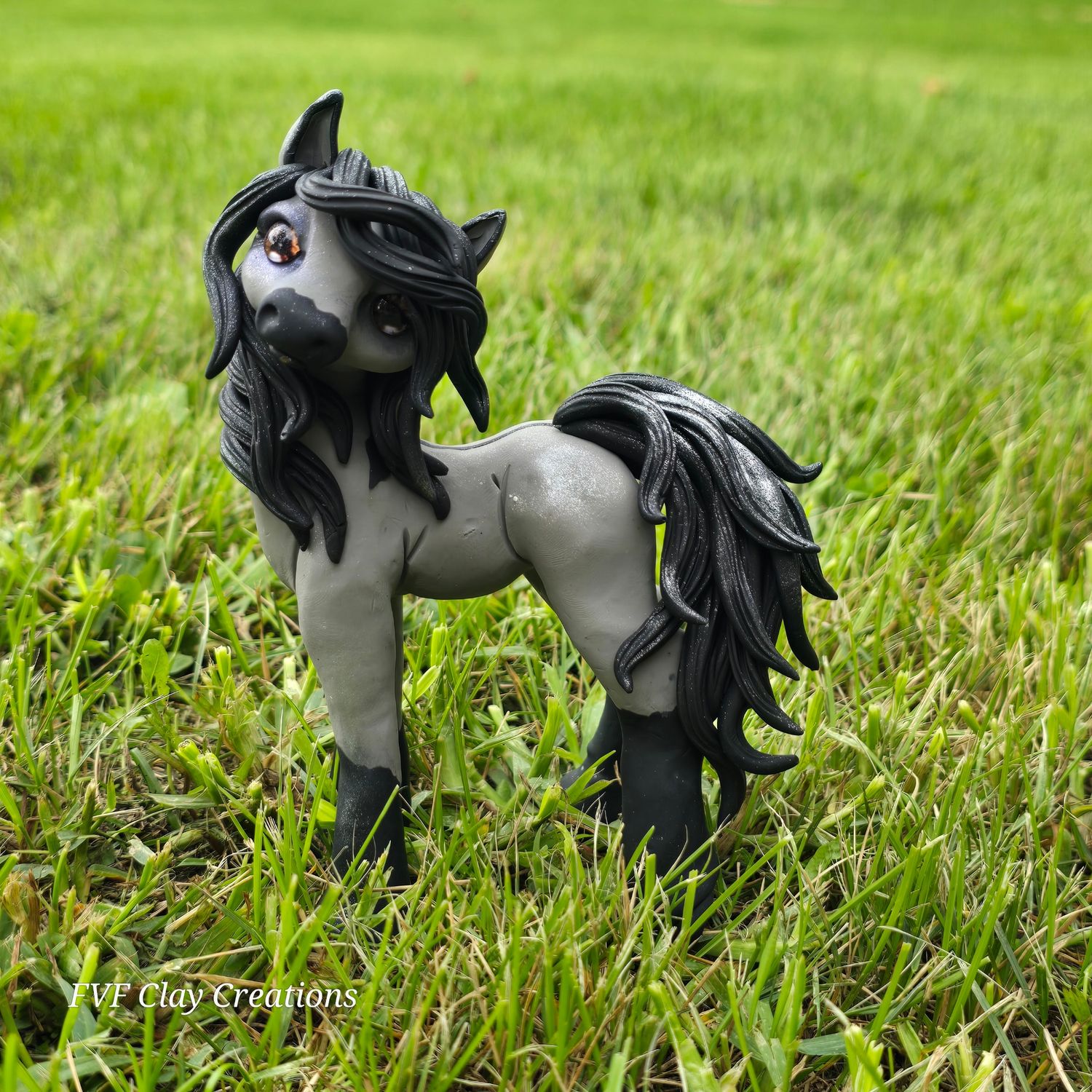 Simple grulla pony