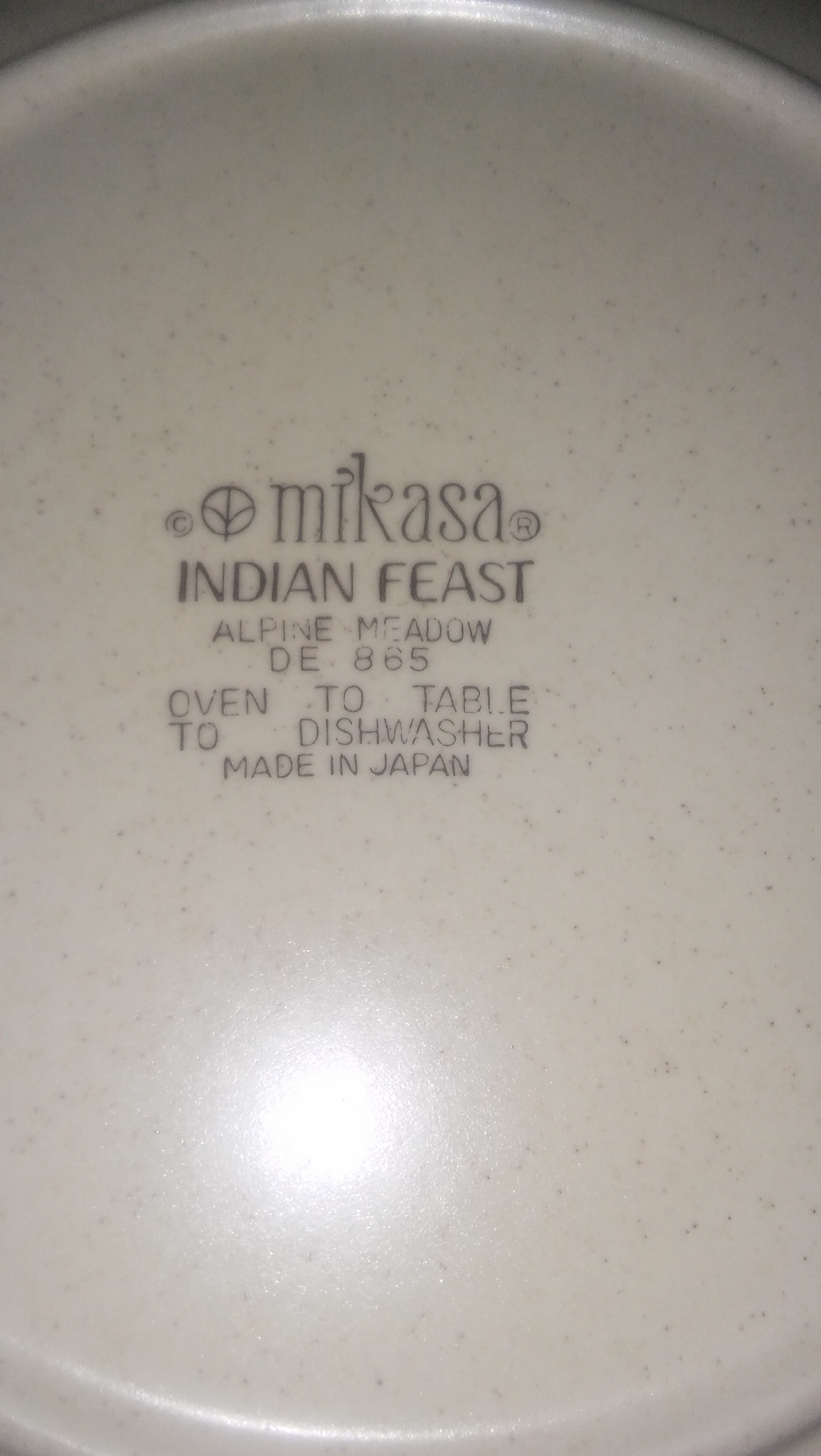 Mikasa Indian Feast, Dinner Plate 10 7/8", Alpine Meadow Pattern # DE 865