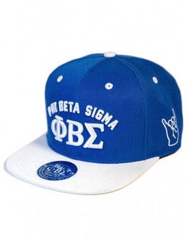 SnapBack PBS