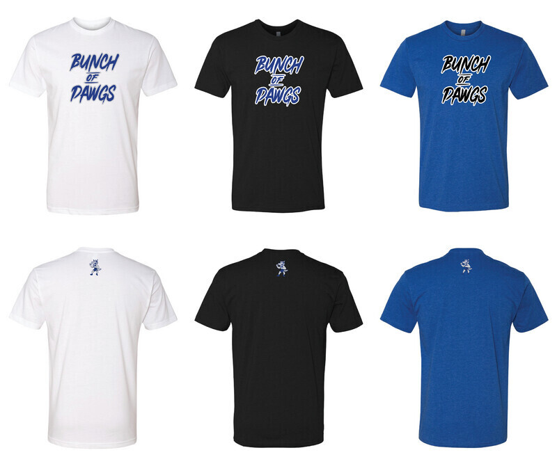 Next Level CVC Tee